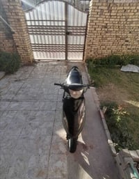 ماكس عدله • نضيفه • كفاله عامه