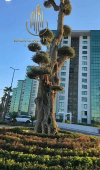 عرض 290 شقة للإيجار    العنوان /  مجمع الود السكني  المساحة/ 190م بناي...