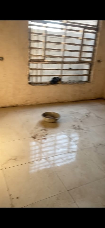 بيت 125 متر 
طابو زاعي سند 25 
غرفه + صاله + مطبخ + حمام
كلشي بي كامل 
النقص بس بياض 
العنوان الحضاره خلف مديره المخدرات شارع عرضه 12 متر 
السعر 20 

‭***********‬
