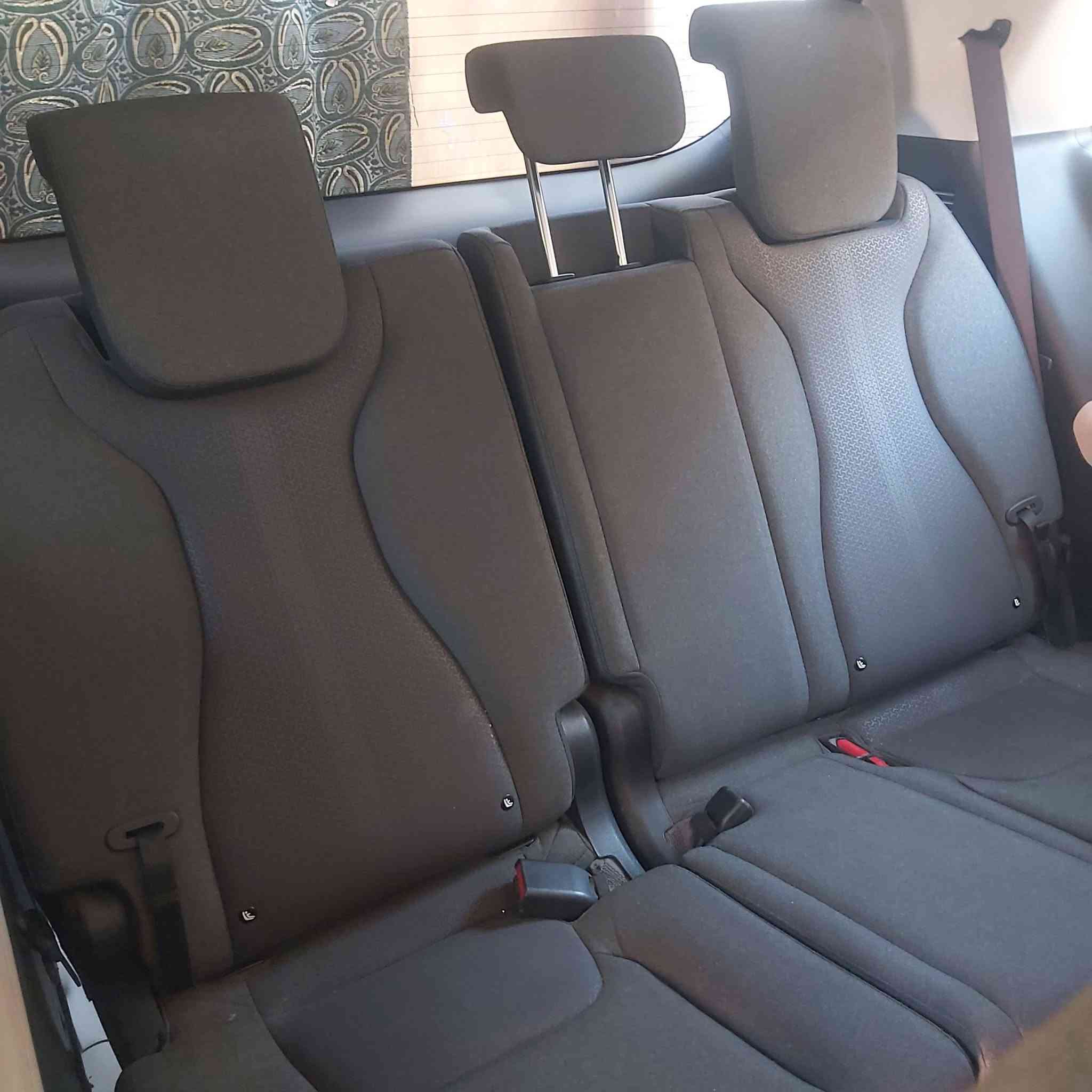 كرنفال • ٢٠٢٤ • وارد أمريكي