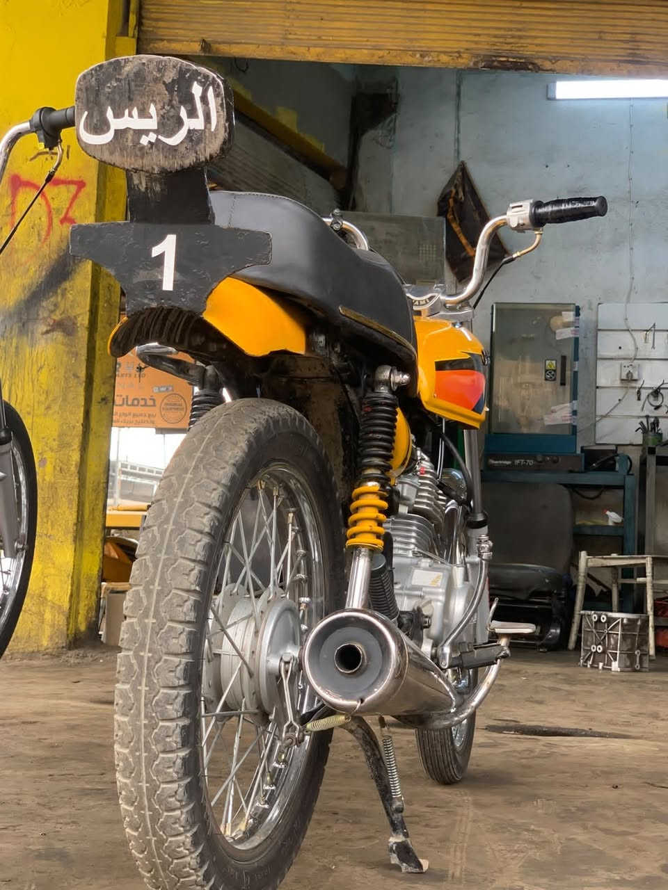 سونك • نضيفه • معدل فول