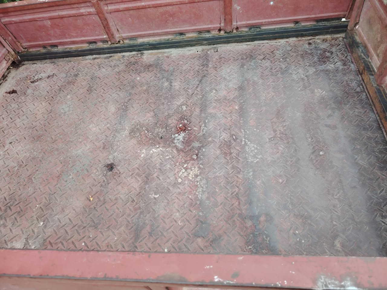 ستوته جمره اوراق اصولي شاصي نظيف واكسن وكاردن وتايرات سايبه جاهزه يرادله بس كهربائيات سعره ب 850 وبيه مجال مكانه كربلاء الحسينيه ***********
