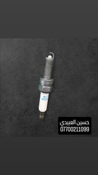 بلكات أصلية • مساعد صندوق • سنتافيا