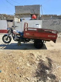 ستوته • 2015 • اوراق