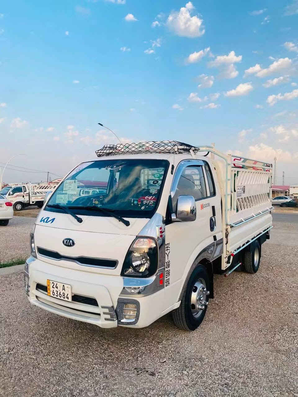 حمل فحل • صبغ عام • ٢٠١٦