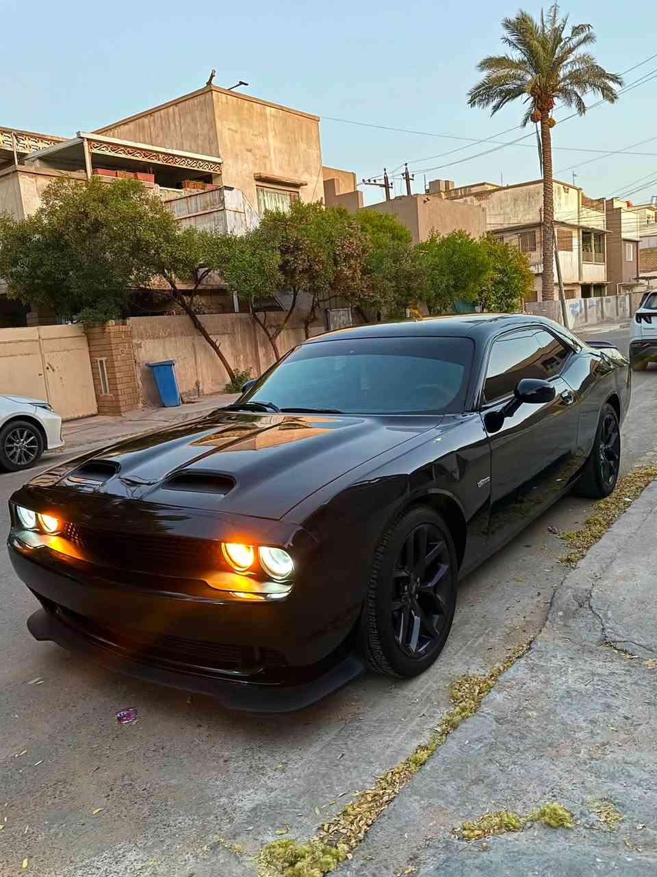 السلام عليكم 
دووج جالنجر 2021 SXT 
مكينة 3600 
6 سلندر 
رقم بغداد 
ماشيه 31 الف ميل 
سيارة نظيفة ما متعوبه 
السيارة حادثها جاملغ وبنيد وبارد بالباب على كد شبر . 
**********************************************
1- المصابيح الاماميه زنون عالي ناصي
2-كاميرا خلفيه دواره 
3- شاشه وسط 
4- داخل مخمل بلاد
5- دخول ذكي بصمه 
6- ويل حجم 20 اصلي  
7- حجر بيئة بلادي 
وباقي المواصفات الـ SXT المعروفة
***********************************************
*السياره جديده جدا وكدامكم الصور ومابيه نقص كير ومكينه وتبريد وحدادية وكهربائيات 
مكان السياره :بغداد الاعظمية ( سبع ابكار )
السعر ١٧٤ وبيها مجال بسيط 
  *********** واتساب
