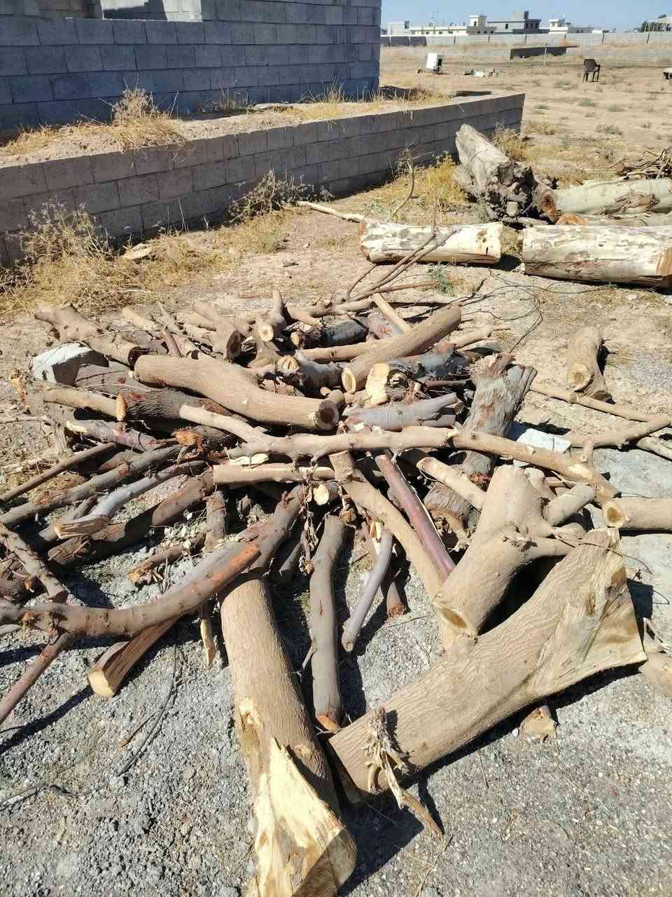 حطب منوع • درجة اولى • السرقاط الايسر