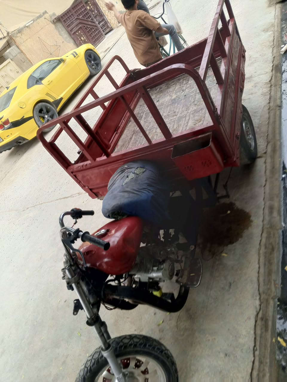 ستوته • بدون اوراق • بعقوبه