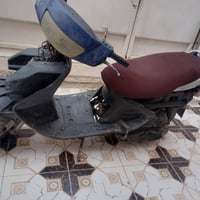 فراشه • شغاله • ماعده كفرات