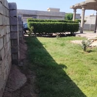 ناحية الرشيد • ١٠٠٠م • سند باسمي