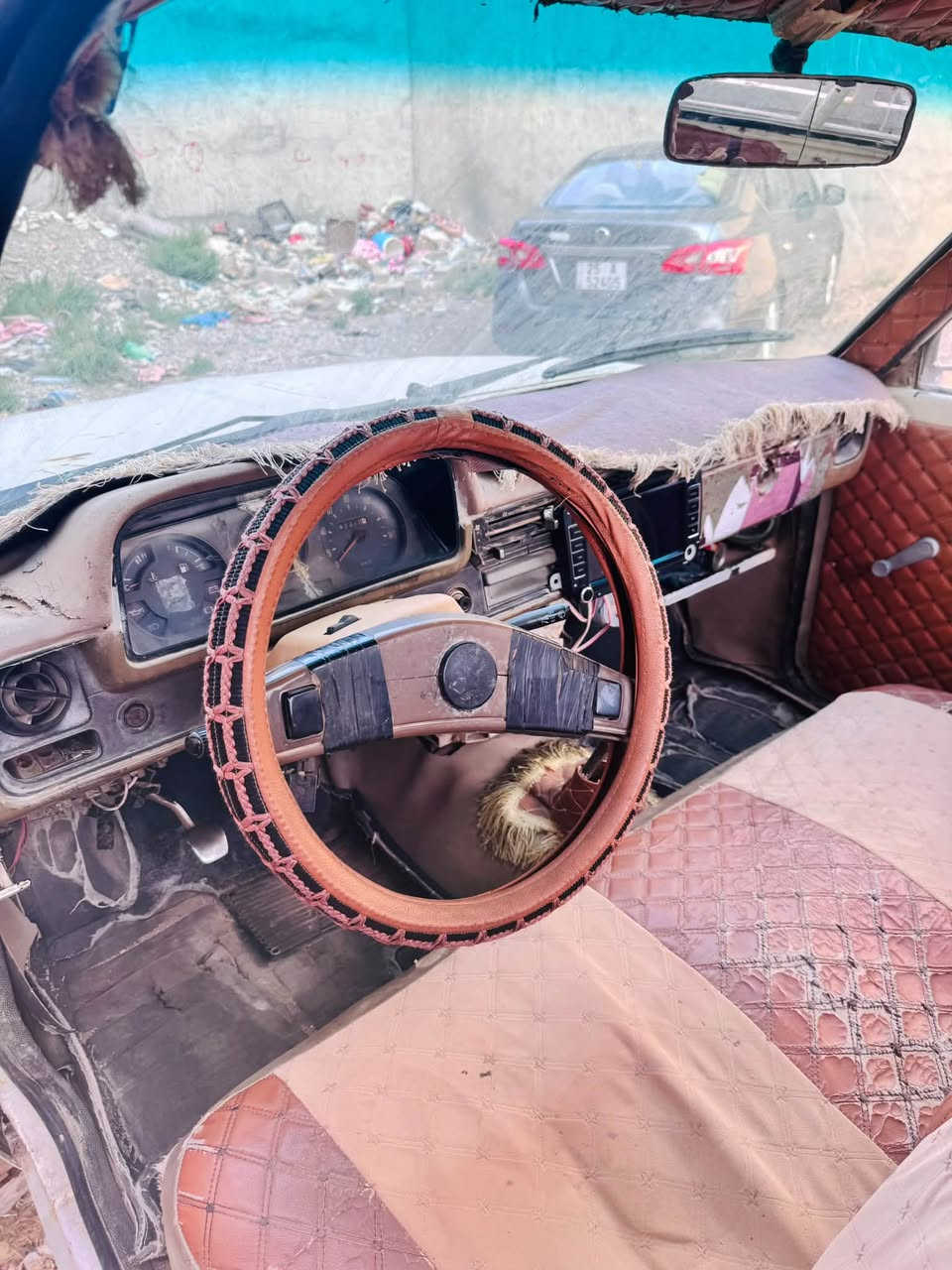 بيكم ٨١ • كركوك • باسمي