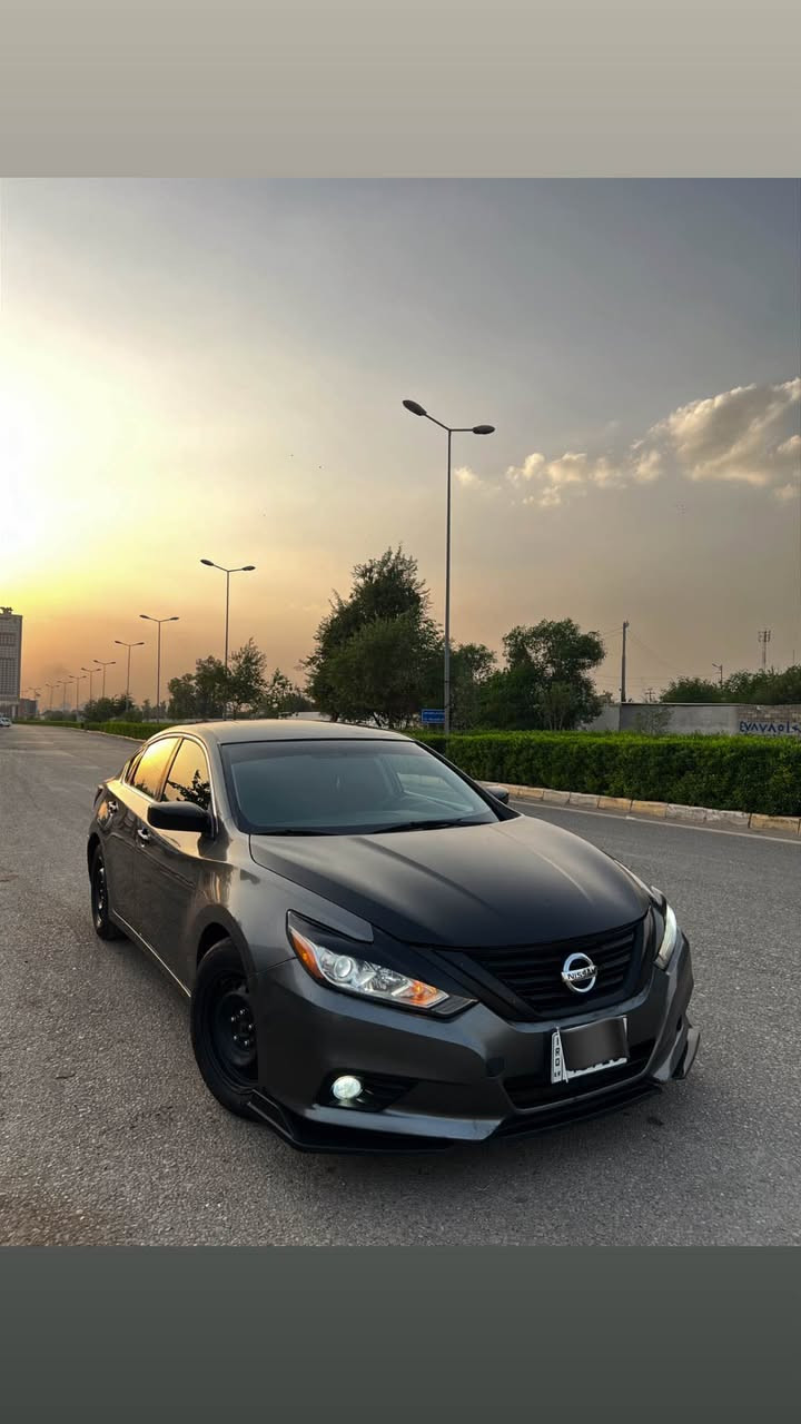 التيما • ٢٠١٦ • أربيل