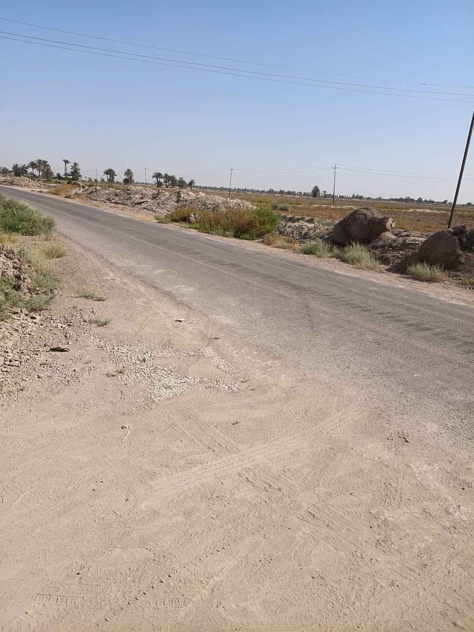 البيع ٢٠ دونم مع بيوت اثنين حديثات عقد ١١٧ مي موجود بابل جبلة رشايد واتساب ***********
