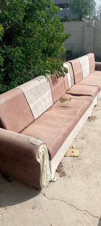 تخم • كنب