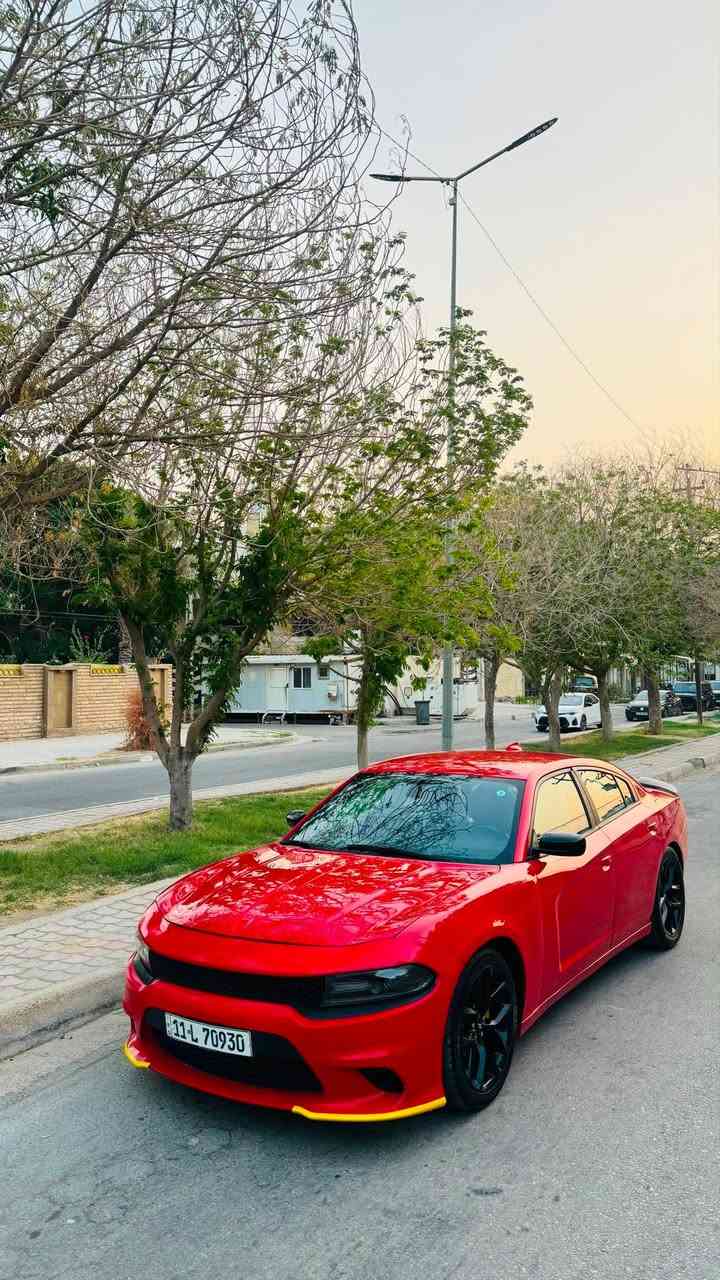 جارجر SXT. 2019
مكينه 3600 تو ويل

سعر 159
حادثه فقط جاملغ ب امريكا
بل عراق بيه مكانت صبغ ابيع حزام
صور حادثه بل منشور كلش بسيط

موصفات 
1-شاشه كبيره
2-تحكمات ستيرن
3-رادارات جانبيه
4-خزن ميموري 
5-ستيرن كهرباء
6-كشنات كهرباء 
7-كشنات جلد +تدفى تبريد 
8-لايت زينون
9-كير مكينه كله جاهز
10-تبريد ثلج ❄️ 
11-حداديه جديده
12-اكسل جديد
13-رقم بغداد نكليزي
هزه وسنويه ورقام جدد

مكاني كربلاء 
رقمي ***********

( فقط بيع بدون مراوس وشراي يتصل على رقم)

