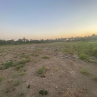 قطعه  ارض للبيع المساحه 4356 متر مربع المكان طريق حله ديوانيه للستفسار...
