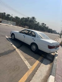 بطة • منفصل • ماكو مراوس