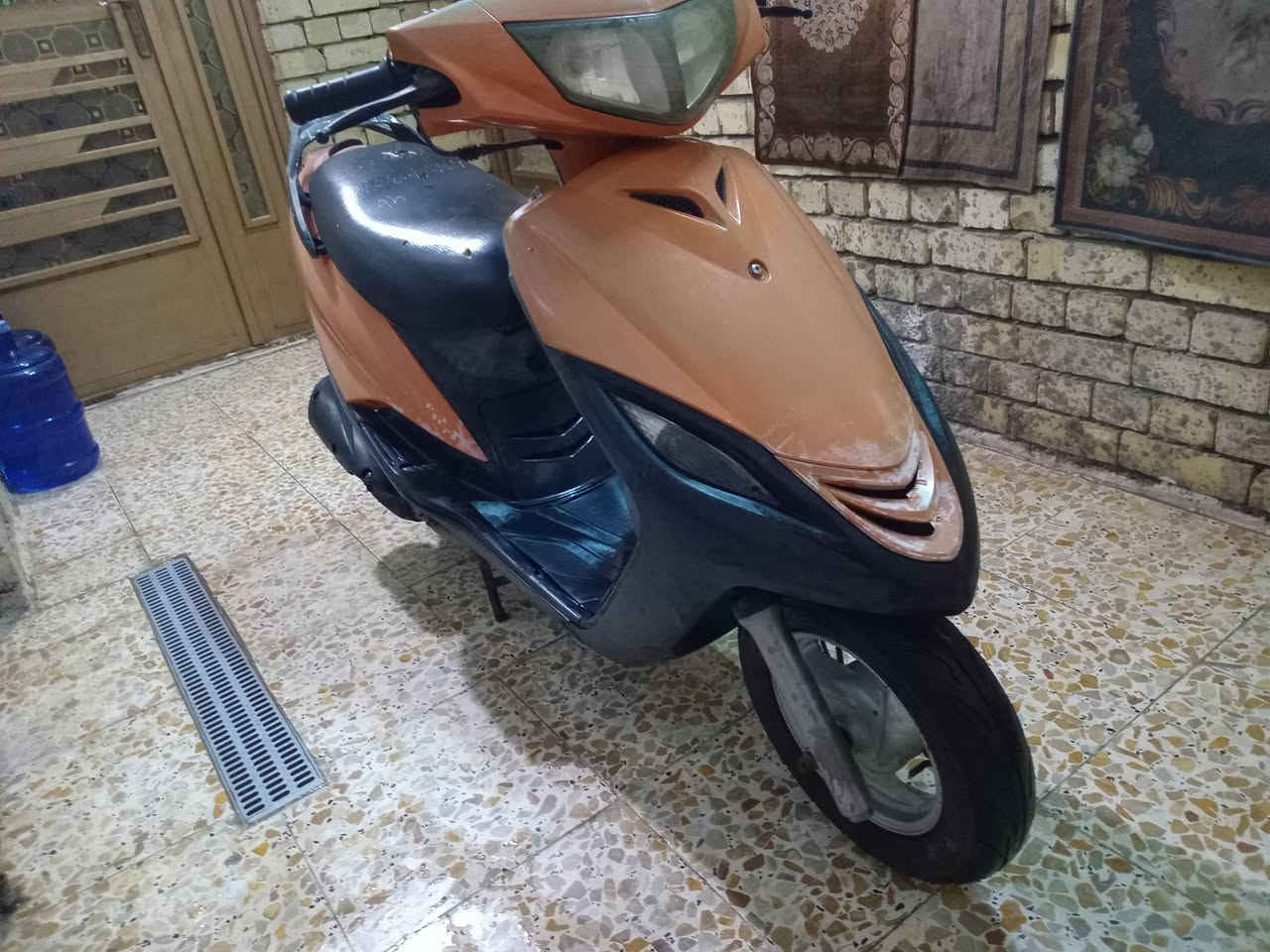 ماكس • فحل • كفاله