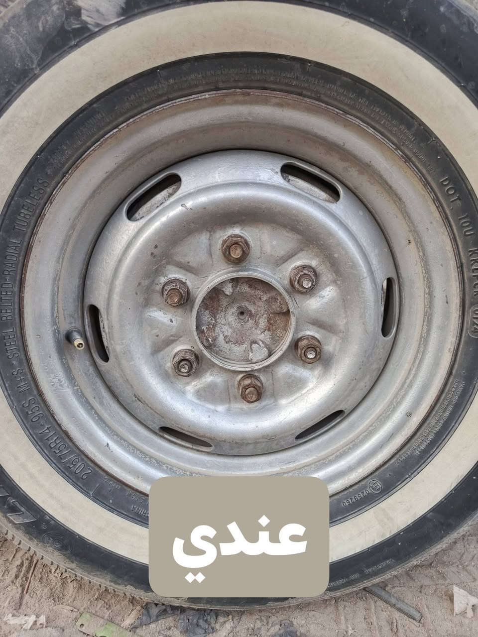 مكاني بابل • مطلوب • عندي