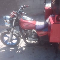 ستوته • صقر • ٢٠١٩