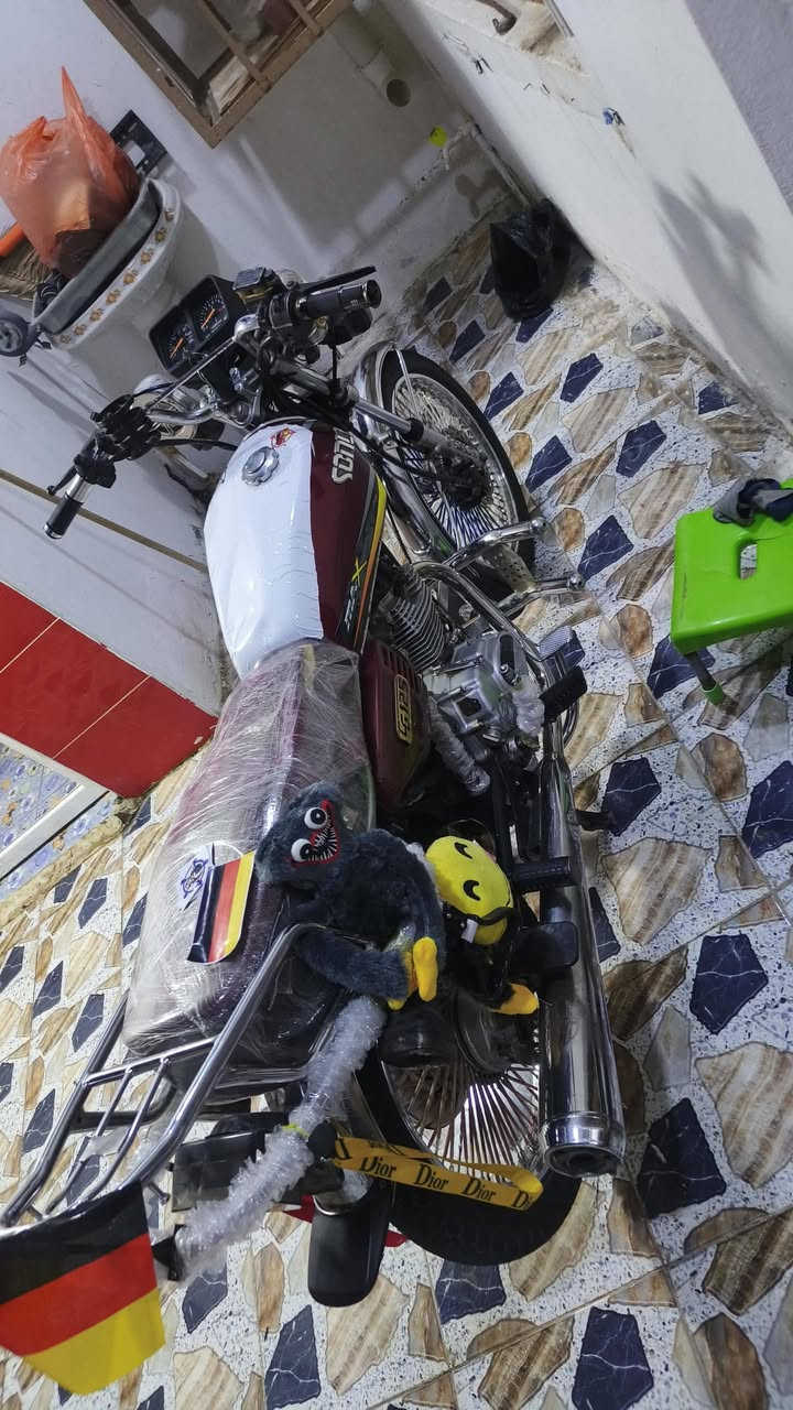 تايكر • سونك • ٢٠٢٣