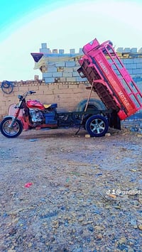 ستوته جمره • فحل • ٢٠٠