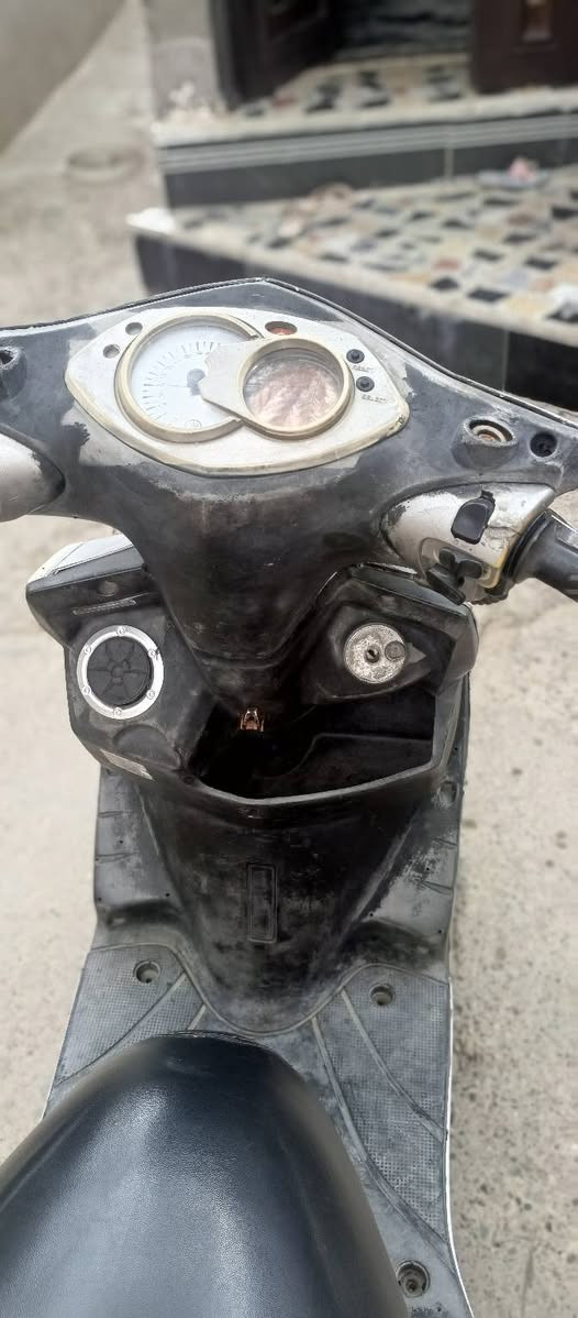 سكنس فحل • معدل • دشبول