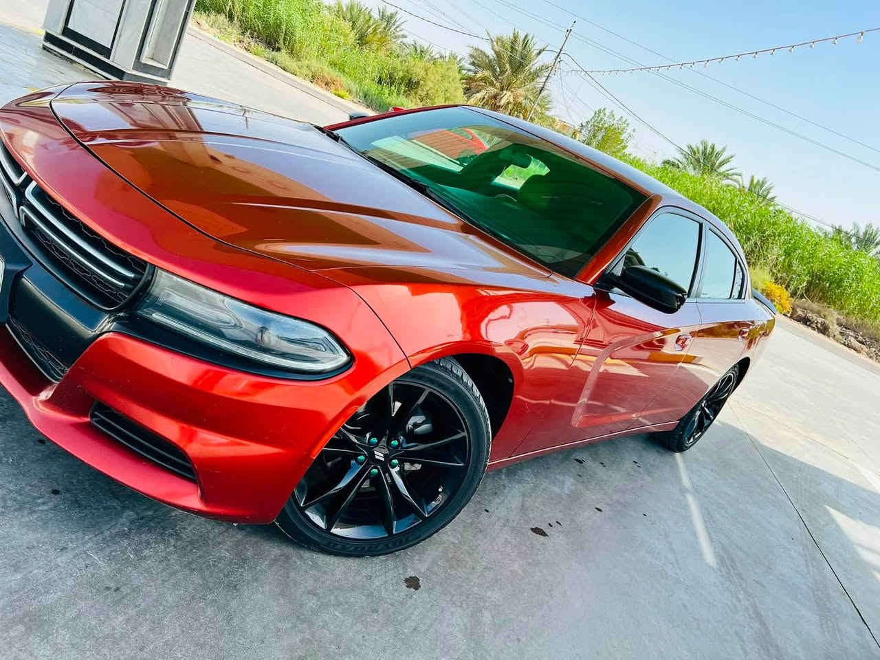 *********** السعر ٢١٥
