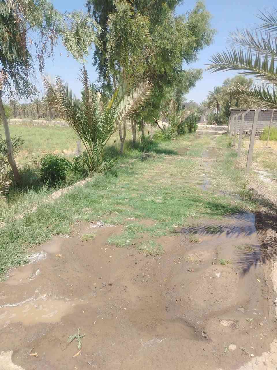 قطعة أرض للبيع المساحه 500 مع الممر طابو زراعي سند 25 يوجد فيها زرع أشجار ونخيل القطعه مسيجه بالكامل مع الدفان العنوان منطقة هوى الشام تبعد عن الشارع العام 3ونص كيلو على طريق حله قاسم متوفر كافة الخدمات كهرباء وماء.... السعر 12 مليون
للتواصل على الرقم ***********
