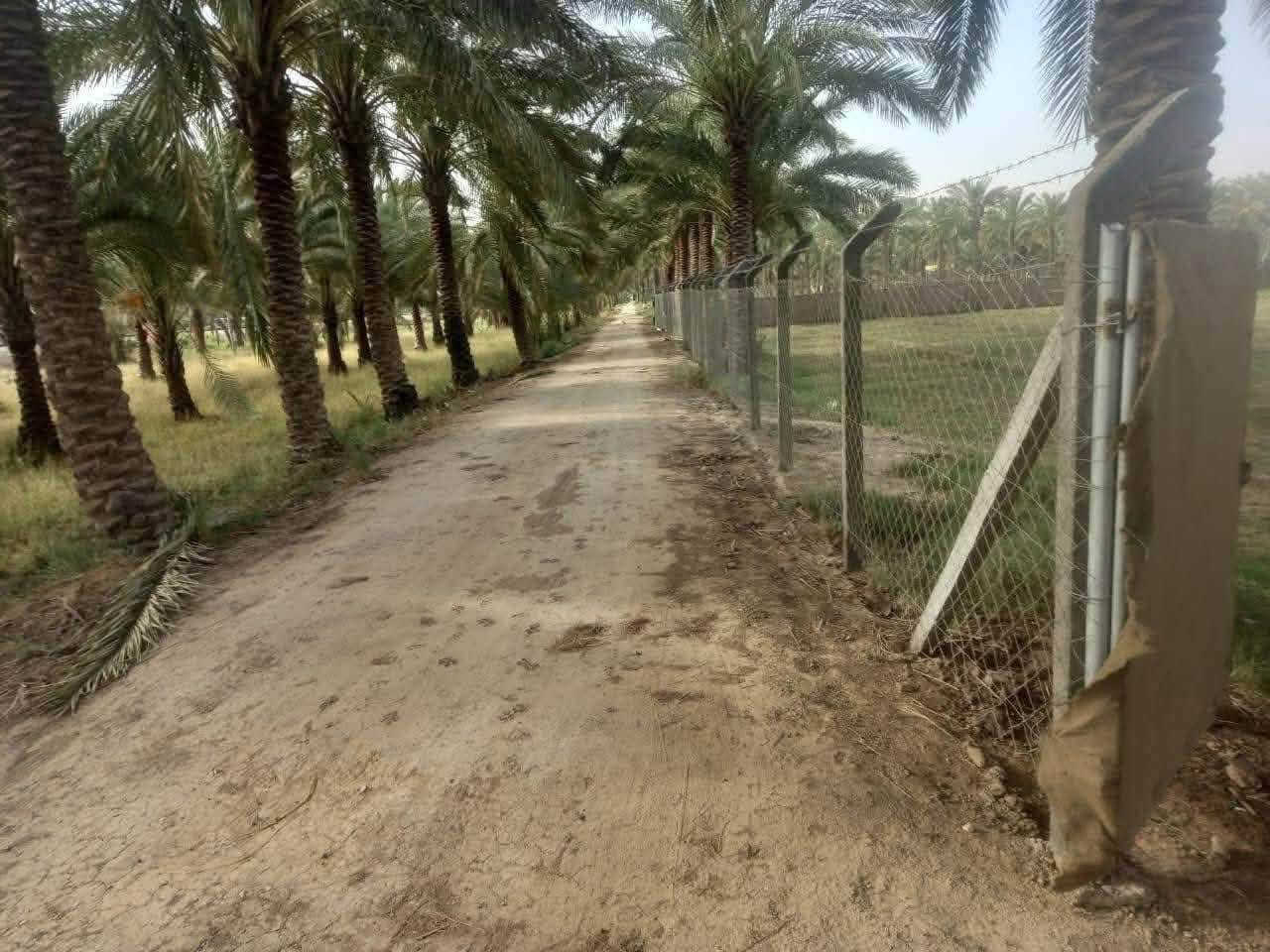 دونم للبيع موقع مميز جدا على الشارع العام المحاويل بين بيت أبو الطياره والبانزيخانه
مواصفات الأرض طابو زراعي سند 25 واجهة 25 متر ونزال 100 تحويل مباشرة من المالك في طابو المحاويل ًً،،،متوفر كل الخدمات ماء أسأله ونهر سقي وكهرباء وتبليط ومسيجه ومزروعة عدة أصناف من النخيل 

الأرض تصلح للاستثمار السكني والتجاري لموقعها المميز على الشارع العام حله بغداد 

قريبة جدا على المدارس والأسواق والمستشفيات ودقائق ايضاً عن الكراج الموحد وقريبة من طريق مطار كربلاء المقدسة الجديد 

الاستفسار والمعاينة والسعر يمكنك التواصل عبر الرابط الخاص 

***********

ومكتب البوظيف بإدارة الشيخ حسين علي الصالح 

https://api.whatsapp.com/send/?phone=201040175849&text&type=phone_number&app_absent=0&wame_ctl=1
