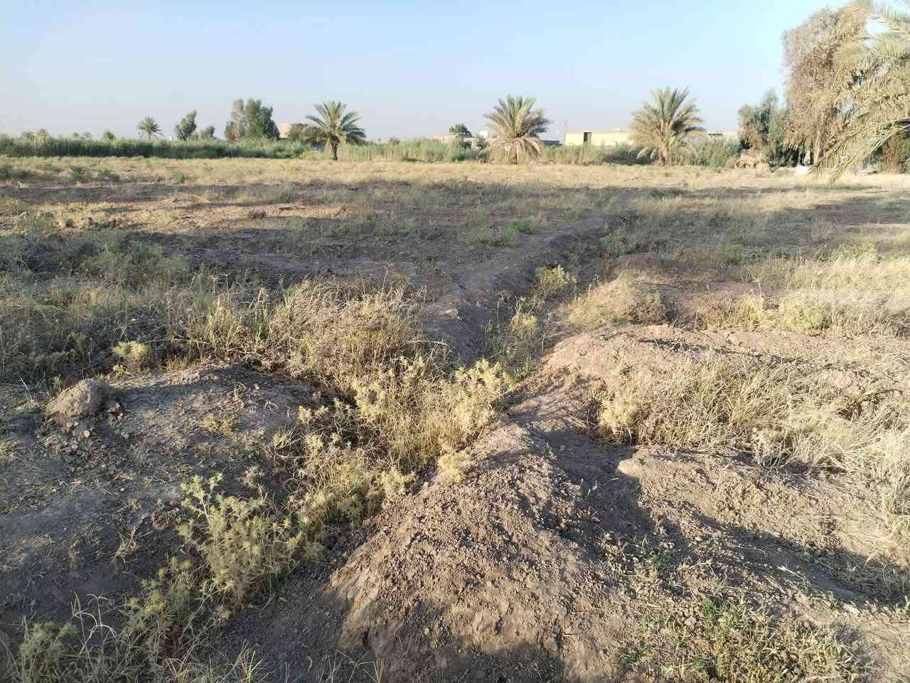 سلام عليكم قطعة أرض زراعي سند 35مساحة دونم و نص للبيع الطيفيه حي القادسية قرب مدرسة الاصاله للبنين للأستفسار ا*********** ***********
