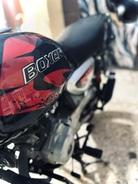 بوكسر جبلي • ٢٠٢٥ • ممش ١٧٦٥٠
