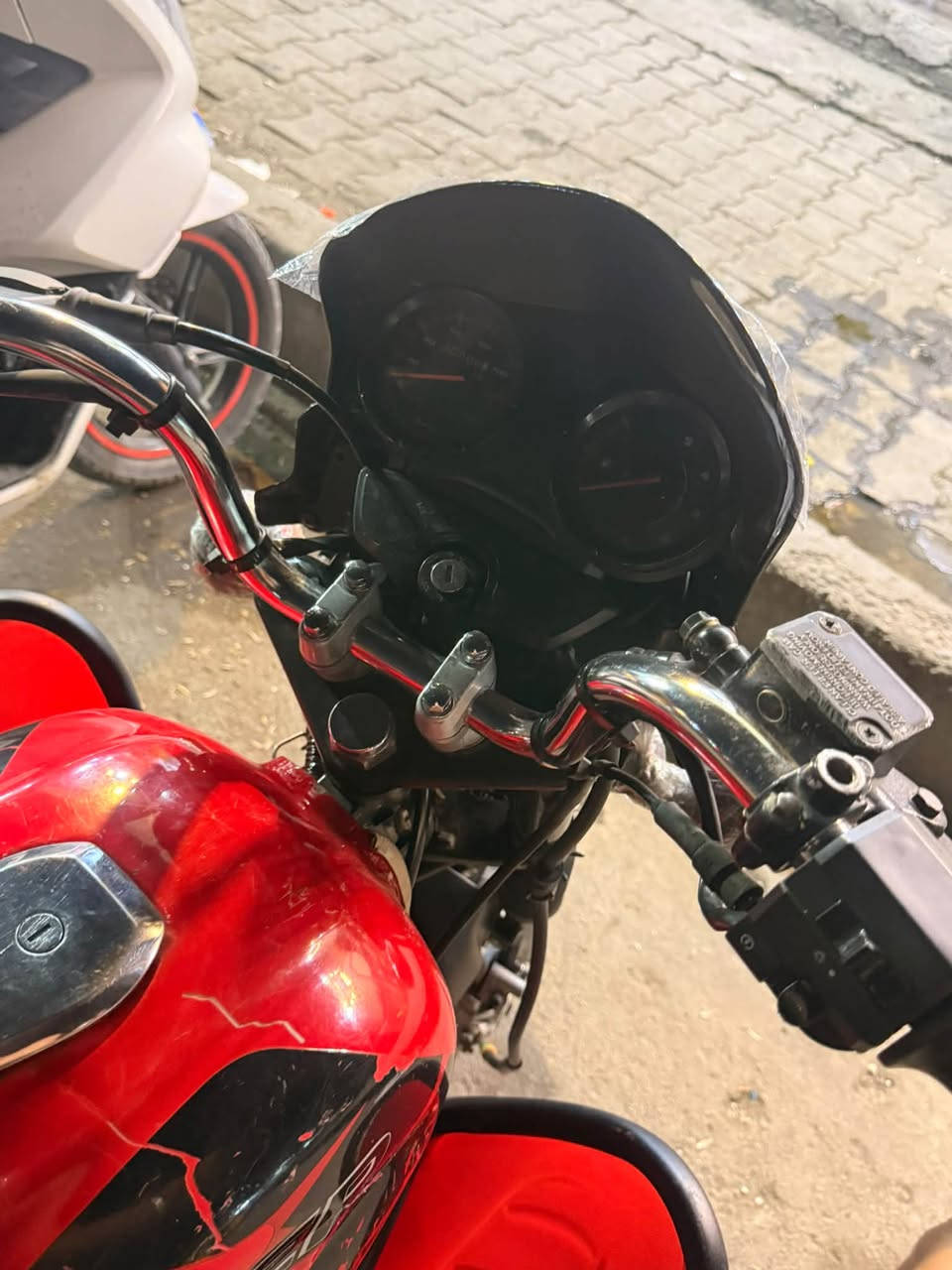 بوكسر جبلي • موديل ٢١ • باسمي