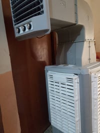 مبرده • مستخدمه اسبوع • بيه مجال