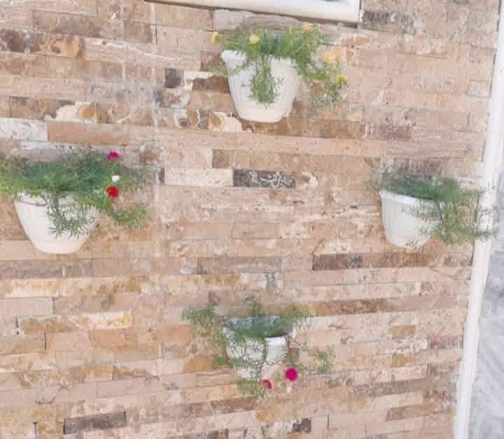 عرض محدود • ٤ قطع • حجز واتساب