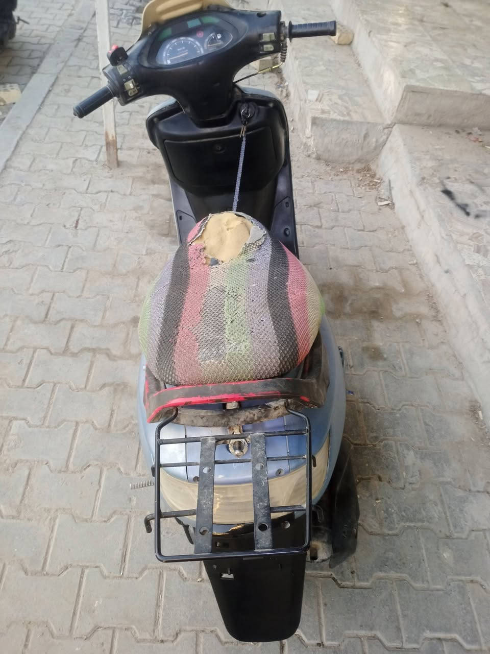 فراشة • فحل • سحك سلف