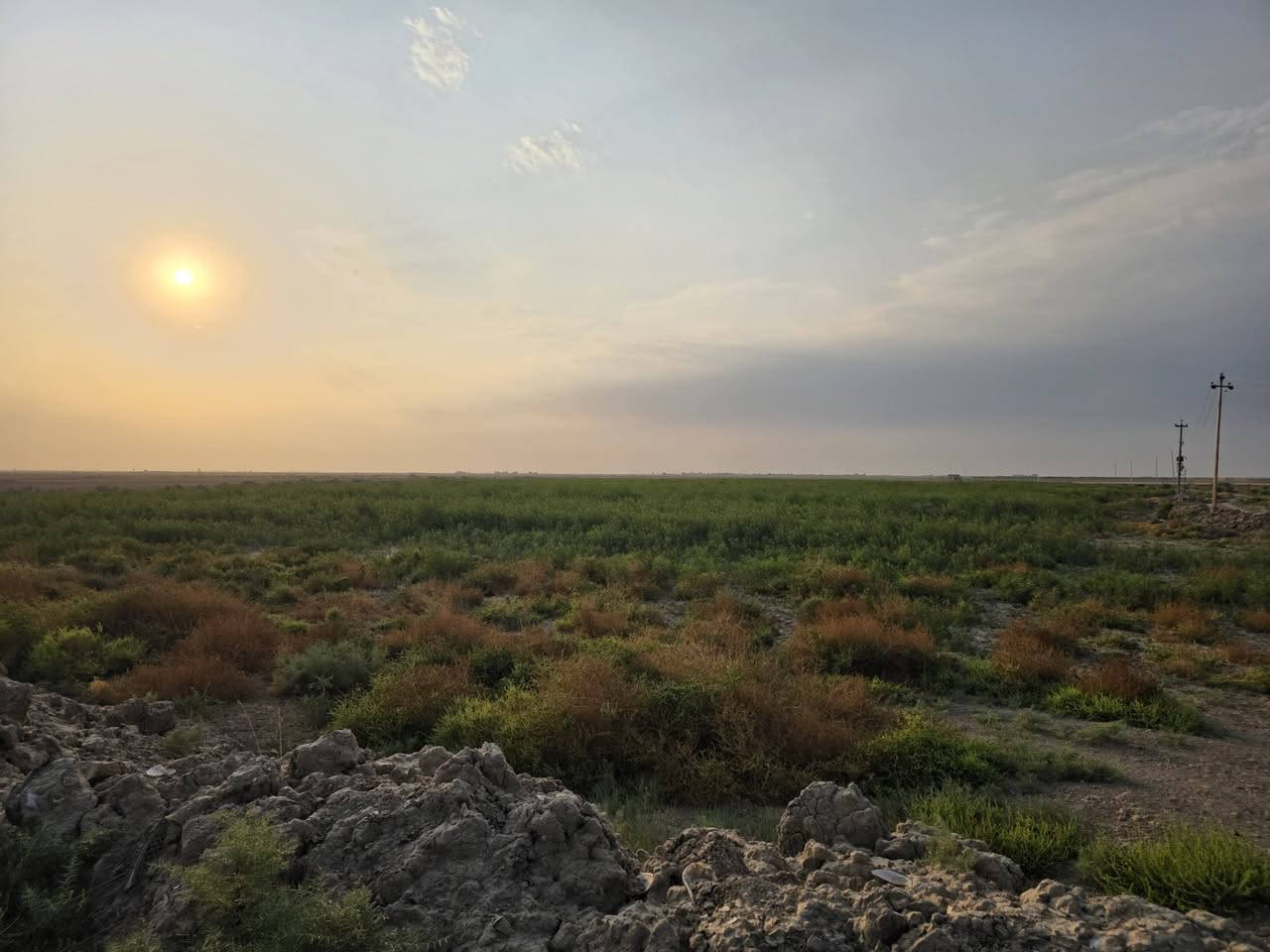 الزبيدية • ١٣٣ دونم • ماء وكهرباء