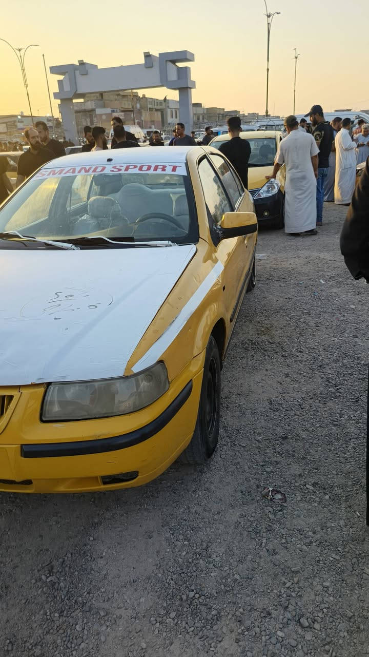 سمك مدير 11 • فيها مجال • للبيع