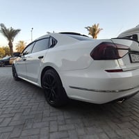 باسات وولفسبورك • ٢٠١٩ • وارد امريكي