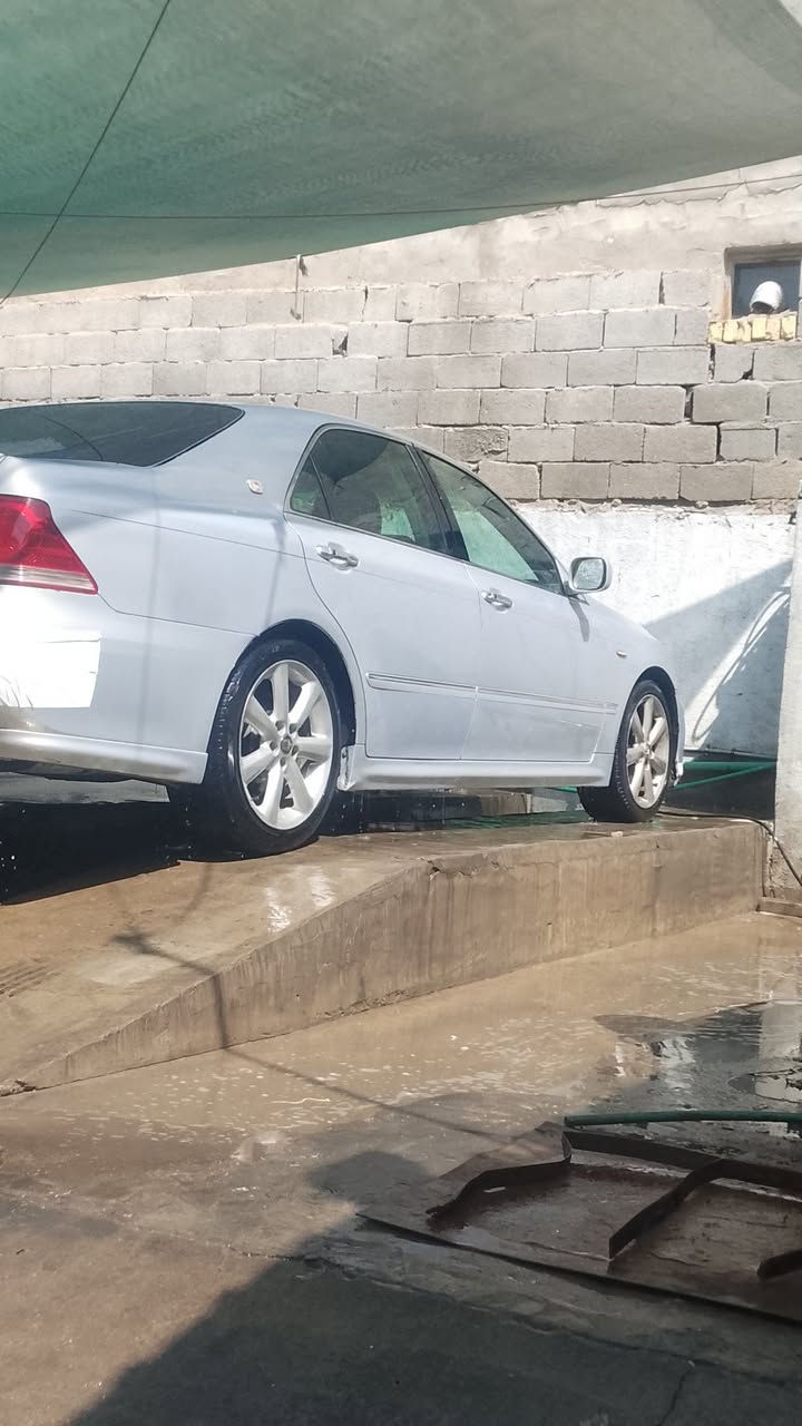 شاهين • ٢٠٠٥