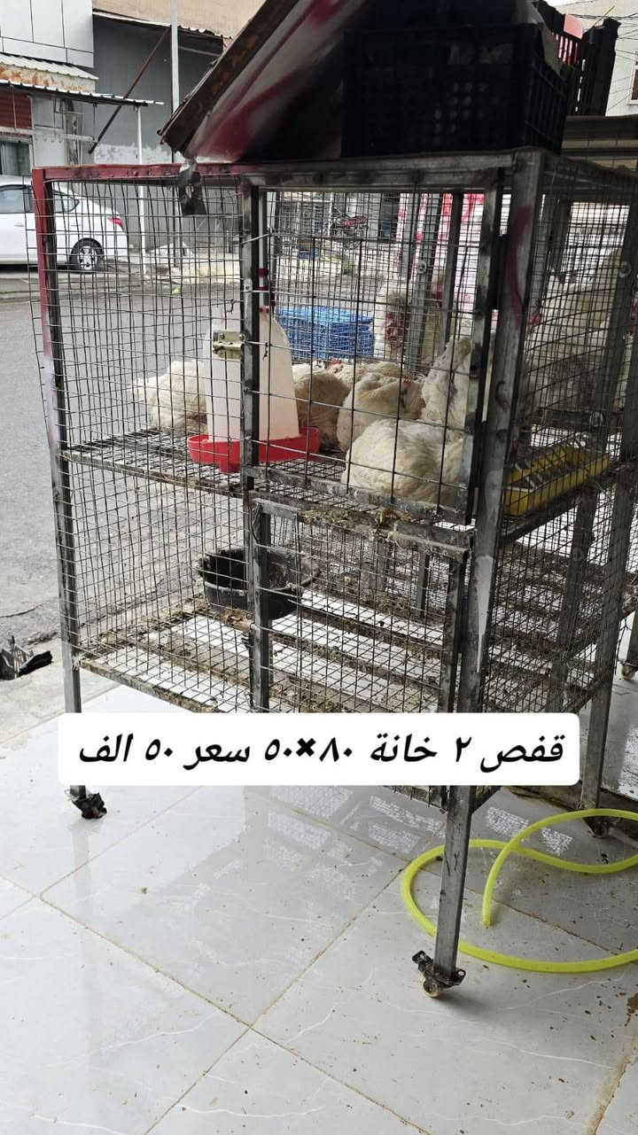 السلام عليكم اخوان تفصية محل دجاج الغراض كلها جديدة استعمال اقل من شهرين كل عيب ما بيها مكانها عانه *********** / ***********
