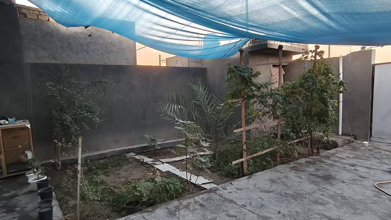السلام عليكم بيت طابو صرف.للبيع مساحه325بناء200..متروحديقه125مترصاله١٢×٤ وغرفتين وحده سويت6×4والثانيه5×4....مكشوفتين 3حمامات..البراني 94بدون لبخ المكان الحيره شارع الحولي حي الحسين قرب المدرسه الصيني.الاتصال***********
