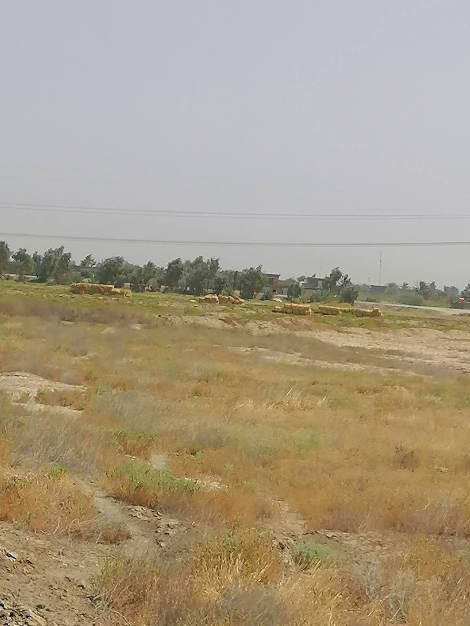 سلام عليكم
@إشارة قطعه للبيع 8 دونم تبعد عن طريق حله نجف 4كيلو صالحه للزراعه ماء سقي شتاء صيف شارعها 7 متر واجهية الارض 40 متر 
نوع العقار عقد 24 مفوضه بالطابو مجرت اتشجرها تتطوب بسمك القطعه حدود الرارنجيه وسعرها كلش مناسب 6 مليون للدونم وبيه مجال 
للاستفسار اكثر مراسلة الصفحه او الاتصال بالرقم الموجود بالمنشور 

*********** /***********
