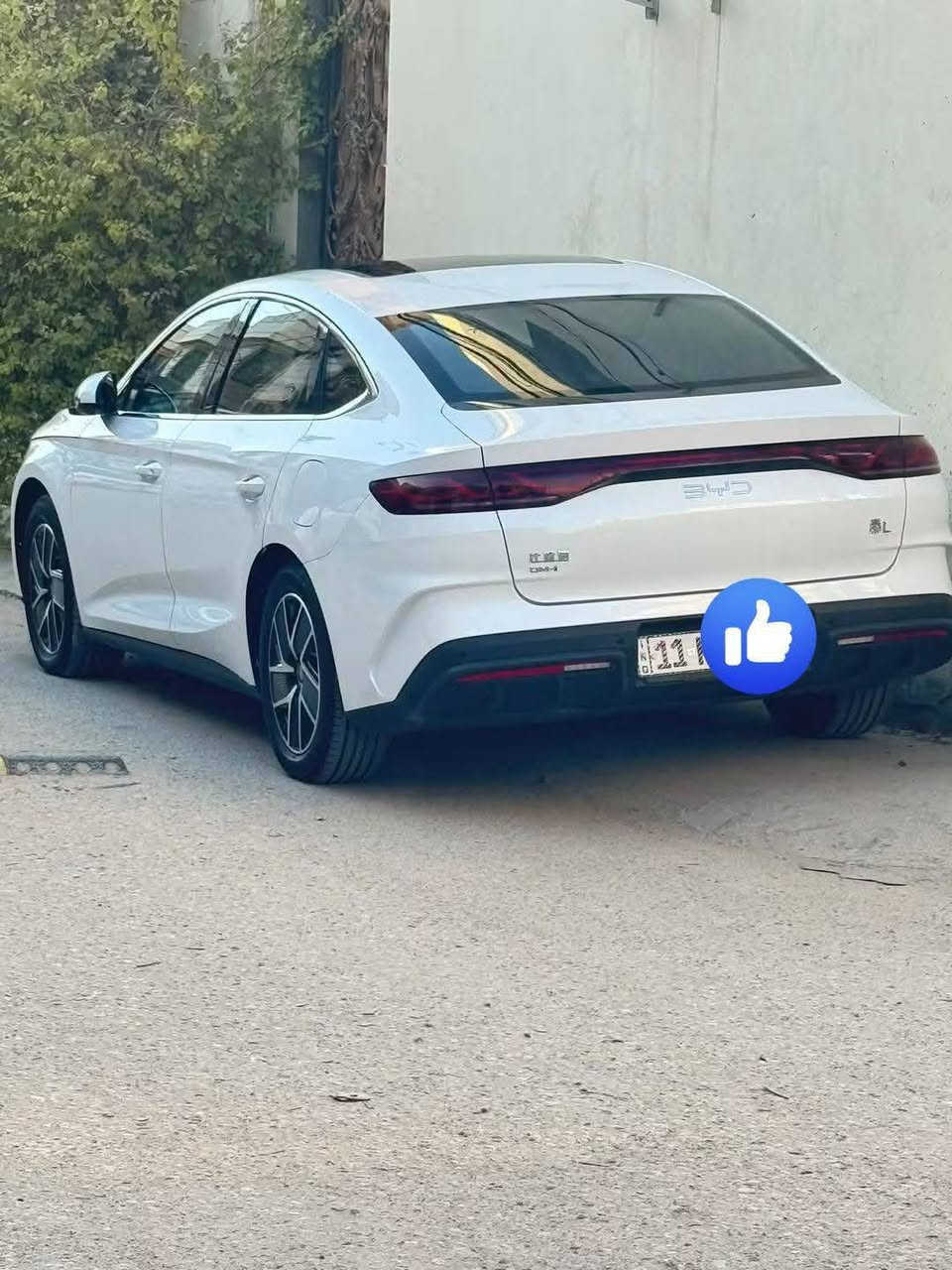 موديل ٢٤ • بانوراما • بطارية ١٢٠