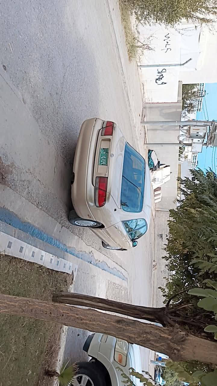 مازده فاسوليا • ١٩٩٤ • واتساب