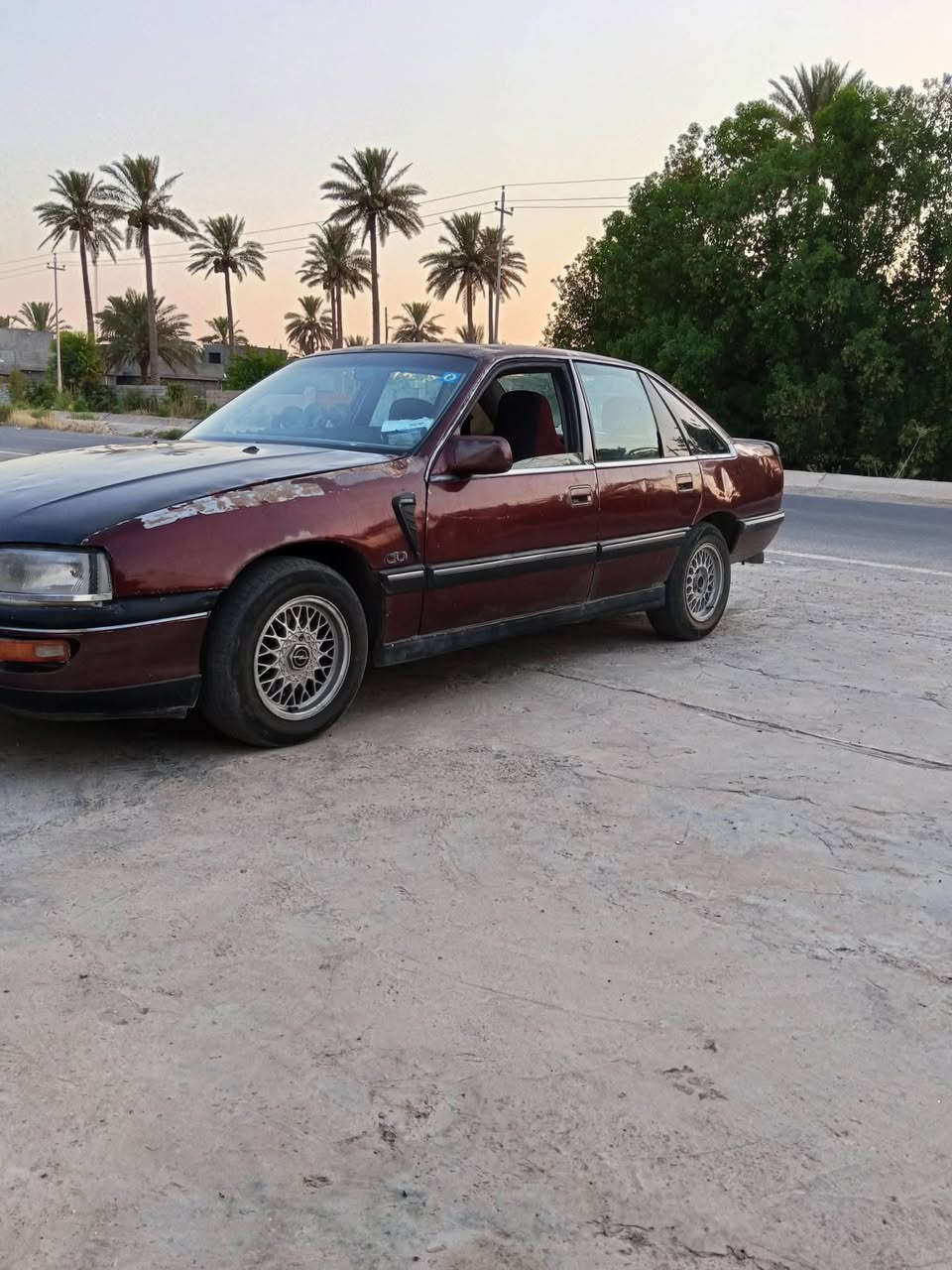 سيناتور • ١٩٩٣ • المقداديه