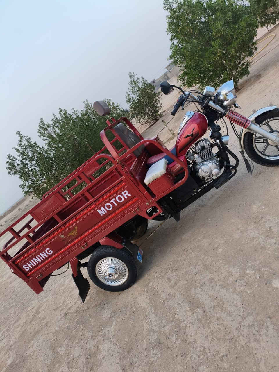 ستوته • موديل ٢٣ • مرقمه