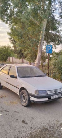 بيجو روى • ٢٠٠٩ • شمالي اربيل