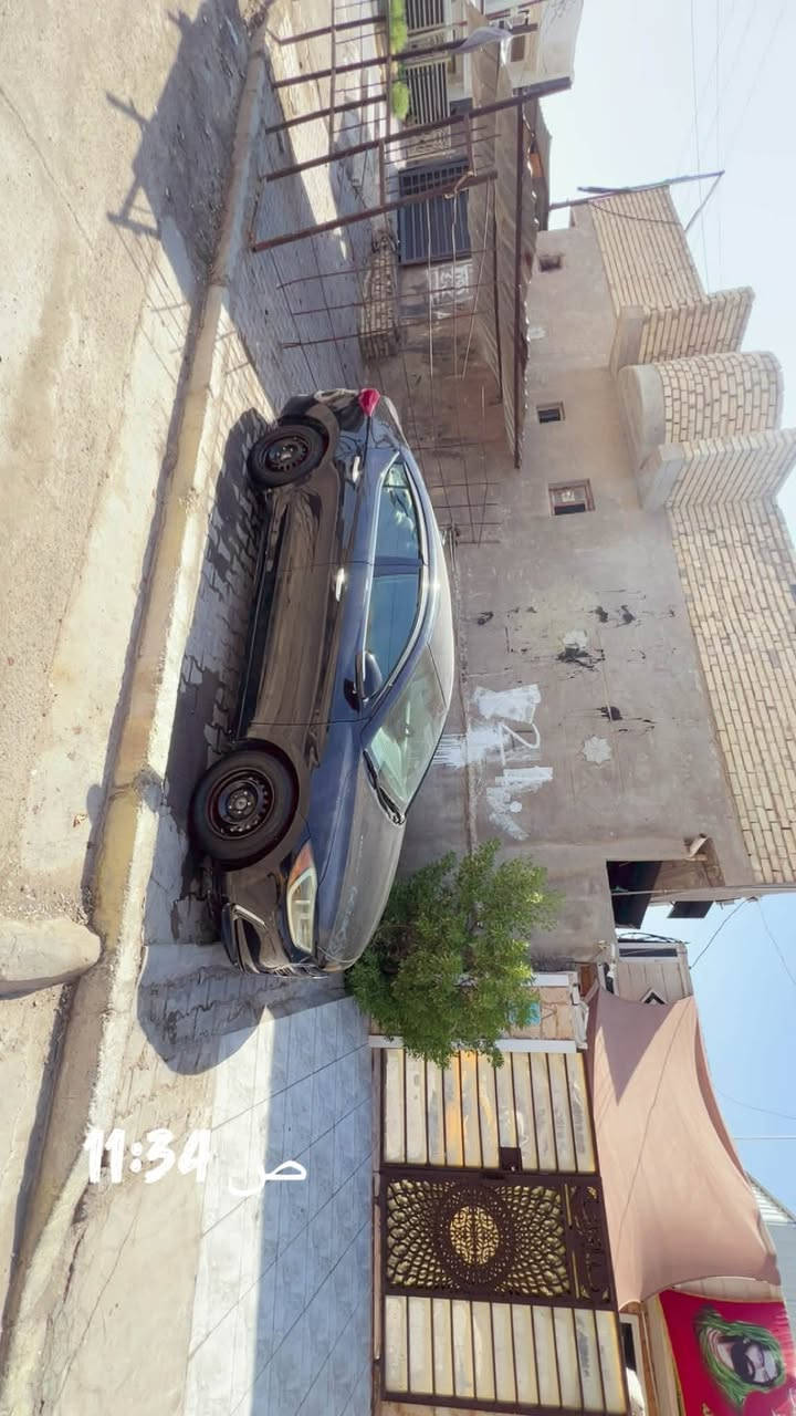 النترا ٢٠١٧ • وارد امريكي • حادث حيواني