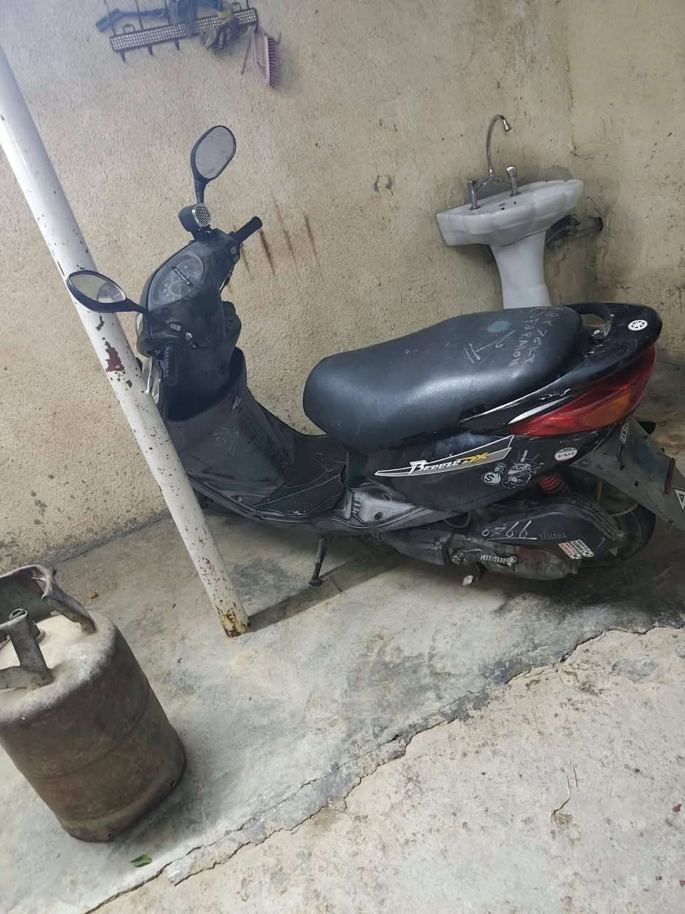 بريز • نضيفة • اوراق